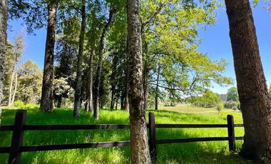 Sitio en Venta en Terreno Futrono Orilla al Estero (Cerco perimetral gratis)