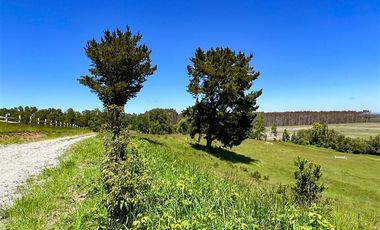 Sitio en Venta en Terreno Futrono Orilla al Estero (Cerco perimetral gratis)