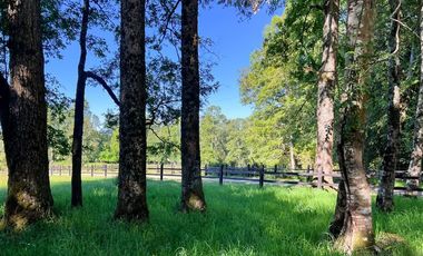 Sitio en Venta en Terreno Futrono Orilla al Estero (Cerco perimetral gratis)