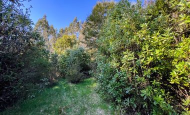 Sitio en Venta en Terreno Futrono Orilla al Estero (Cerco perimetral gratis)