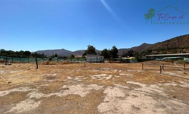 Parcela en Arriendo en Camino El Oliveto - Caletera Autopoista del Sol