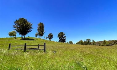 Agrícola en Venta en Terreno Futrono Orilla al Estero (Cerco perimetral gratis)