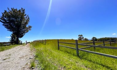 Agrícola en Venta en Terreno Futrono Orilla al Estero (Cerco perimetral gratis)