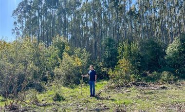 Agrícola en Venta en Terreno Futrono Orilla al Estero (Cerco perimetral gratis)