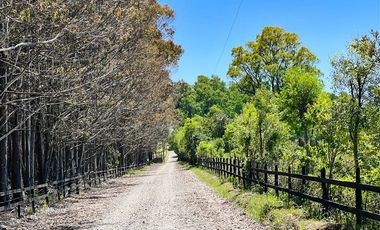 Agrícola en Venta en Terreno Futrono Orilla al Estero (Cerco perimetral gratis)