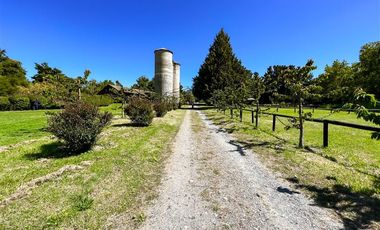 Agrícola en Venta en Terreno Futrono Orilla al Estero (Cerco perimetral gratis)