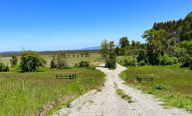 Agrícola en Venta en Terreno Futrono Orilla al Estero (Cerco perimetral gratis)
