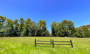 Agrícola en Venta en Terreno Futrono Orilla al Estero (Cerco perimetral gratis)