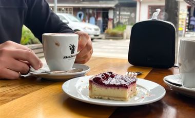 Agrícola en Venta en Terreno Futrono Orilla al Estero (Cerco perimetral gratis)