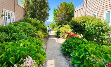 Agrícola en Venta en Terreno Futrono Orilla al Estero (Cerco perimetral gratis)