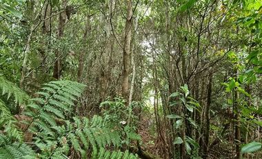 Parcela en Venta en LOTEO HACIENDA CHAMIZA