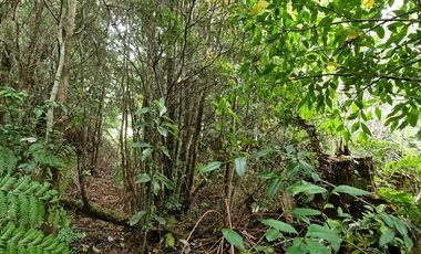 Parcela en Venta en LOTEO HACIENDA CHAMIZA