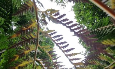 Parcela en Venta en LOTEO HACIENDA CHAMIZA