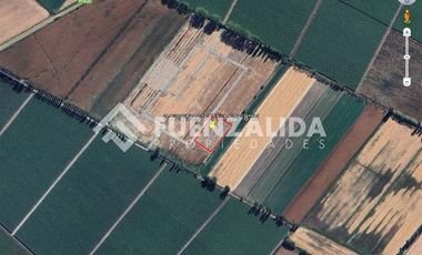 Sitio en Venta en Idahue Norte Parcela 4