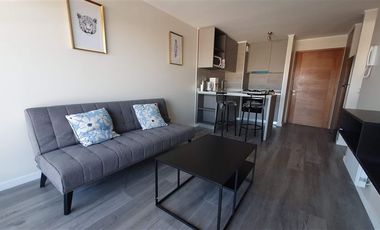 Departamento en Arriendo en San Ernesto