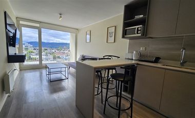 Departamento en Arriendo en San Ernesto