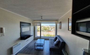 Departamento en Arriendo en San Ernesto