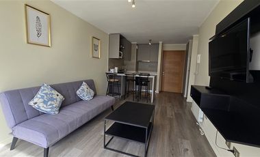 Departamento en Arriendo en San Ernesto