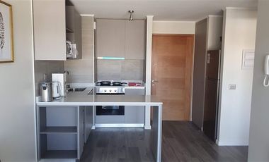 Departamento en Arriendo en San Ernesto