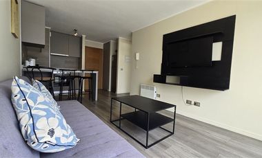 Departamento en Arriendo en San Ernesto