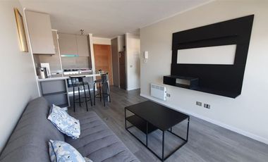 Departamento en Arriendo en San Ernesto