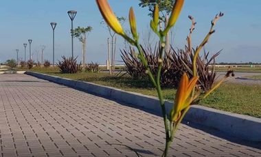 Terreno - San Vicente