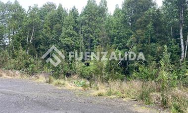 Parcela en Venta en Colonia la Poza, Colonia Tres Puentes