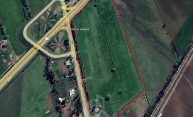 Agrícola en Venta en AGRICOLA RETIRO PARRAL