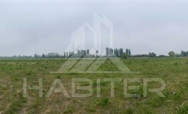 Agrícola en Venta en AGRICOLA RETIRO PARRAL