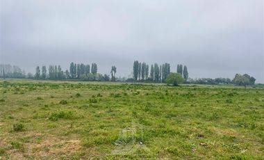 Agrícola en Venta en AGRICOLA RETIRO PARRAL