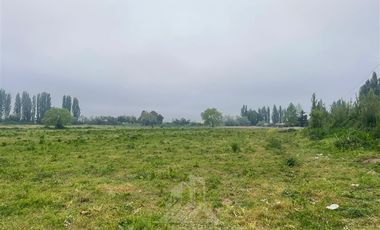 Agrícola en Venta en AGRICOLA RETIRO PARRAL