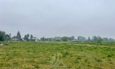 Agrícola en Venta en AGRICOLA RETIRO PARRAL