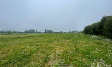 Agrícola en Venta en AGRICOLA RETIRO PARRAL