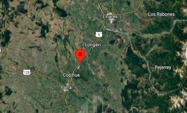 Agrícola en Venta en AGRICOLA RETIRO PARRAL