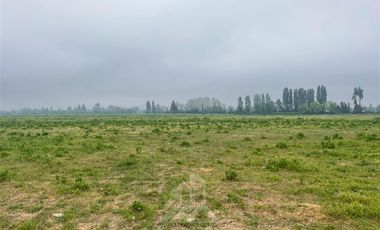 Agrícola en Venta en AGRICOLA RETIRO PARRAL