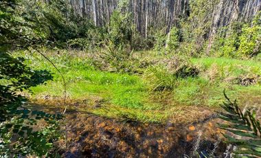 Parcela en Venta en Terreno Futrono Orilla al Estero (Cerco perimetral gratis)