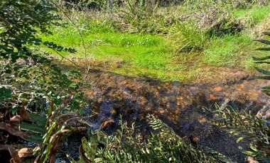 Parcela en Venta en Terreno Futrono Orilla al Estero (Cerco perimetral gratis)