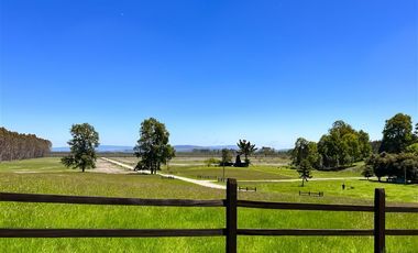 Parcela en Venta en Terreno Futrono Orilla al Estero (Cerco perimetral gratis)