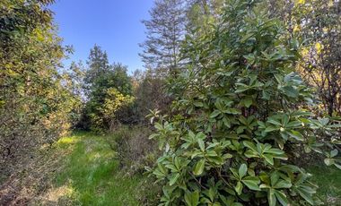 Parcela en Venta en Terreno Futrono Orilla al Estero (Cerco perimetral gratis)