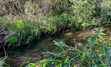 Parcela en Venta en Terreno Futrono Orilla al Estero (Cerco perimetral gratis)