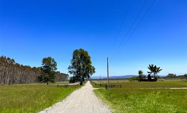 Parcela en Venta en Terreno Futrono Orilla al Estero (Cerco perimetral gratis)