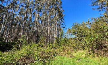 Parcela en Venta en Terreno Futrono Orilla al Estero (Cerco perimetral gratis)