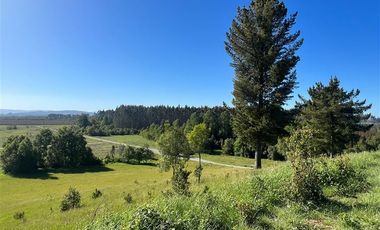 Parcela en Venta en Terreno Futrono Orilla al Estero (Cerco perimetral gratis)