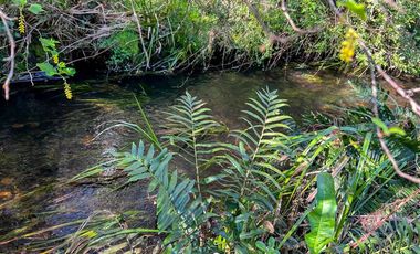 Parcela en Venta en Terreno Futrono Orilla al Estero (Cerco perimetral gratis)