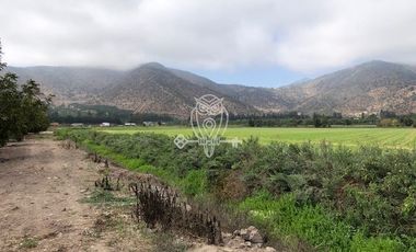 Parcela en Venta en Sector San Antonio de Naltahua