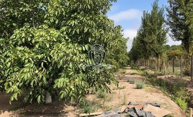 Parcela en Venta en Sector San Antonio de Naltahua