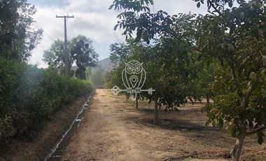 Parcela en Venta en Sector San Antonio de Naltahua