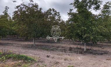 Parcela en Venta en Sector San Antonio de Naltahua