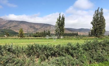 Parcela en Venta en Sector San Antonio de Naltahua