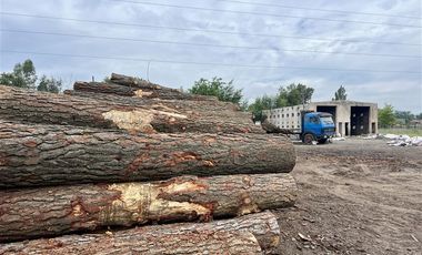 Parcela en Venta en San Fernando, Cam. a Roma